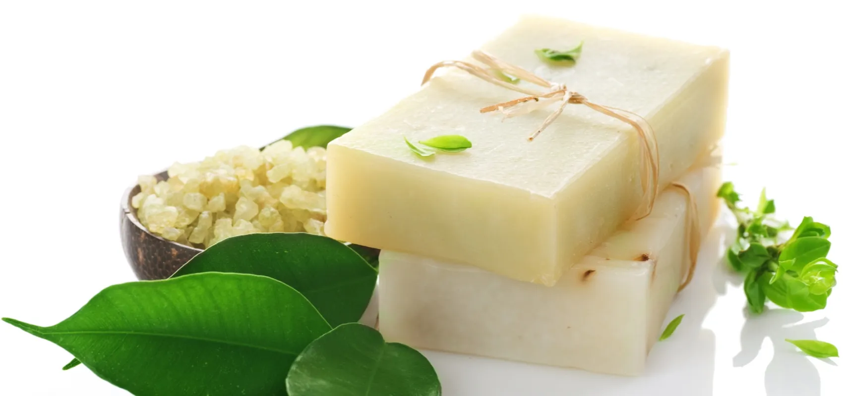 Palmölfrei und biologisch abbaubar!
